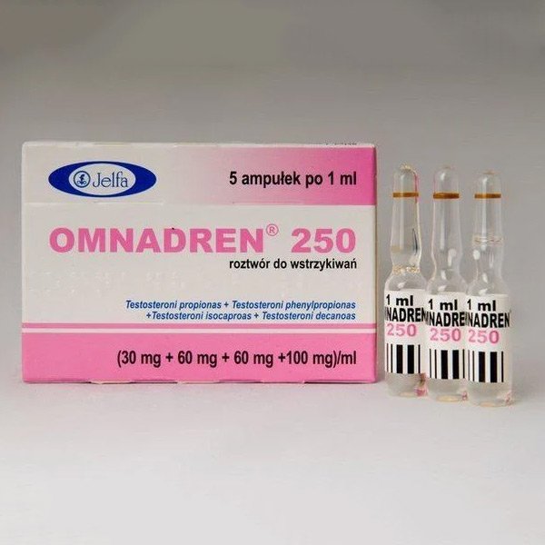 1-22-1-1.jpg Omnadren kaufen – Original Testosteronpräparat